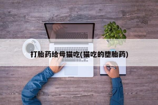 网上米非司酮打胎药官网打胎药给母猫吃(猫吃的堕胎药)