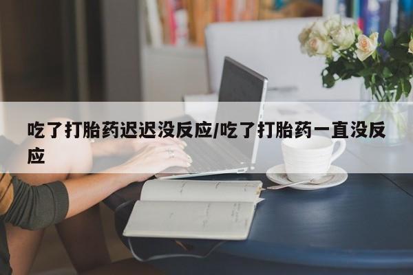 网上米非司酮打胎药官网吃了打胎药迟迟没反应/吃了打胎药一直没反应