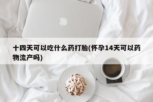网上米非司酮打胎药官网十四天可以吃什么药打胎(怀孕14天可以药物流产吗)